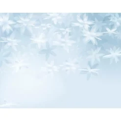 DecoWoerner Bandera Xxl|Decoración De Invierno>Lona XXL "Flores De Hielo" De Lona De Camión Ignífuga 250 X 330 Cm