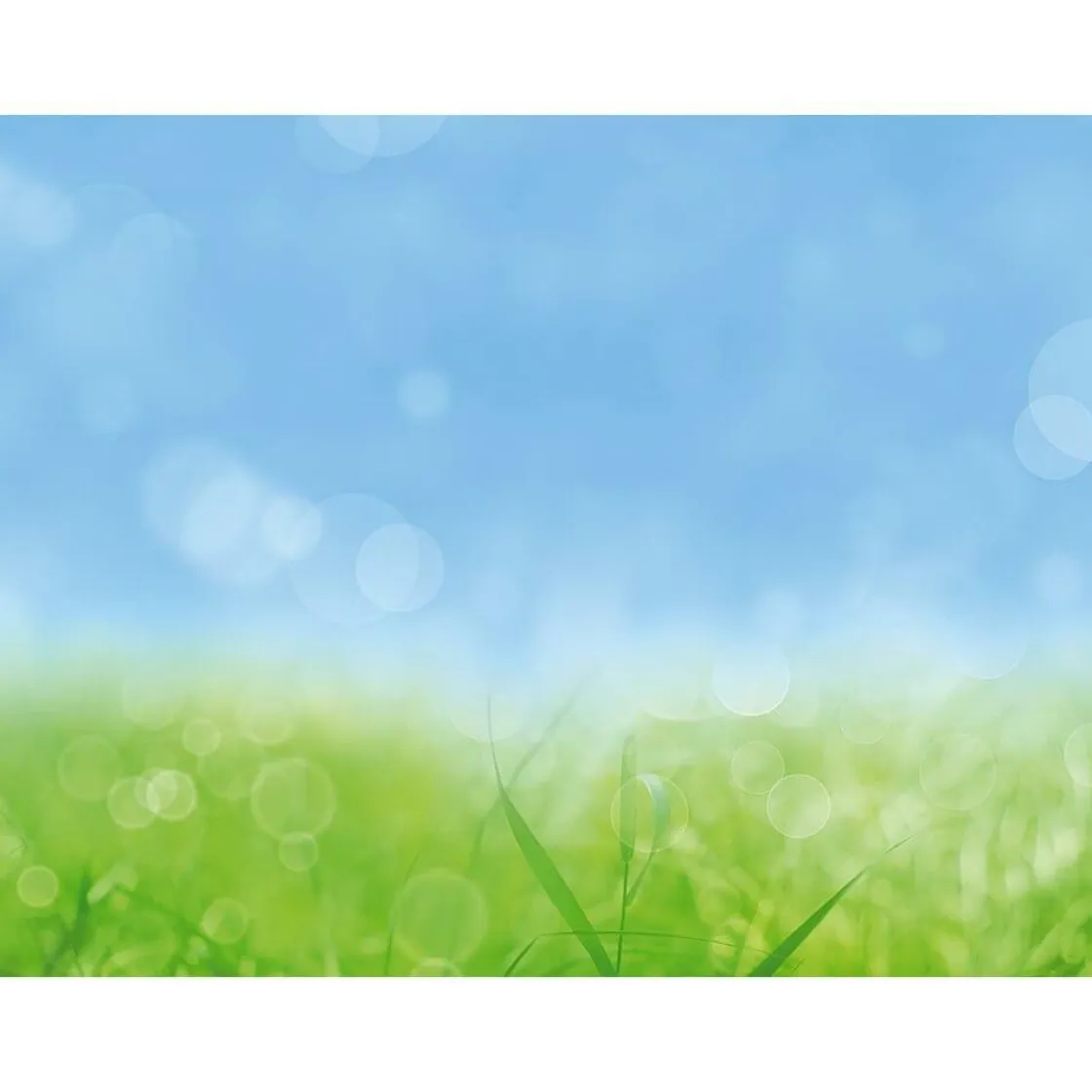 DecoWoerner Pancartas De Primavera|Bandera Xxl>Lona XXL "Hierba De Primavera" De Lona De Camión Ignífuga 250 X 330 Cm