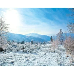 DecoWoerner Bandera Xxl|Decoración De Invierno>Lona XXL "Paisaje De Invierno" De Lona De Camión Ignífuga 250 X 330 Cm