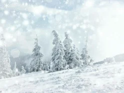 DecoWoerner Bandera Xxl|Decoración De Invierno>Lona XXL "Paisaje De Nieve" De Lona De Camión Ignífuga 250 X 330 Cm