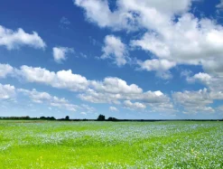 DecoWoerner Bandera Xxl|Decoración De Verano>Lona XXL "Pradera Y Cielo Nublado" De Lona De Camión Ignífuga 250 X 330 Cm