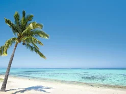 DecoWoerner Bandera Xxl|Decoración Temática>Lona XXL "Tropical Palm Beach" De Lona De Camión Ignífuga 250 X 330 Cm