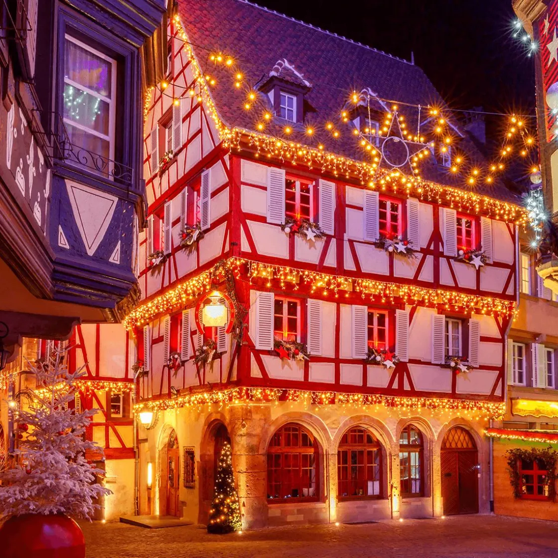 DecoWoerner Luces De Navidad>Luz Icicle Light LED Para Uso Profesional Sistema IP67, 228 LED, 300 X 100 Cm, Sin Cable