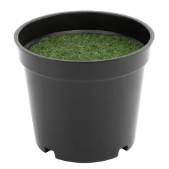 DecoWoerner Macetas Y Artículos De Decoración>Maceta De Plástico Con Esquejes 8 X 9,5 Cm