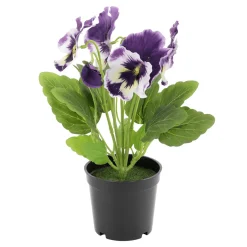 DecoWoerner Macetas Y Artículos De Decoración>Maceta De Plástico Con Esquejes 8 X 9,5 Cm