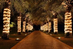 DecoWoerner Luz Decorativa|Luces De Navidad>Manguera De Luz Para Iluminación Decorativa, 44 M