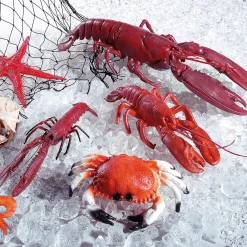 DecoWoerner Decoración De Verano|Pescados Y Mariscos><noscript><img width=