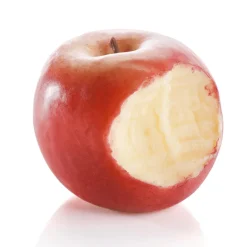 DecoWoerner Frutas>Maniquí De Manzana Roja Mordida 7,5 Cm Ø