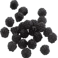 DecoWoerner Frutas>Maniquí De Moras, 24 Piezas