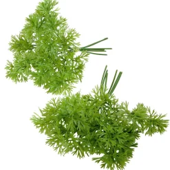 DecoWoerner Verduras Y Hierbas>Maniquí De Perejil