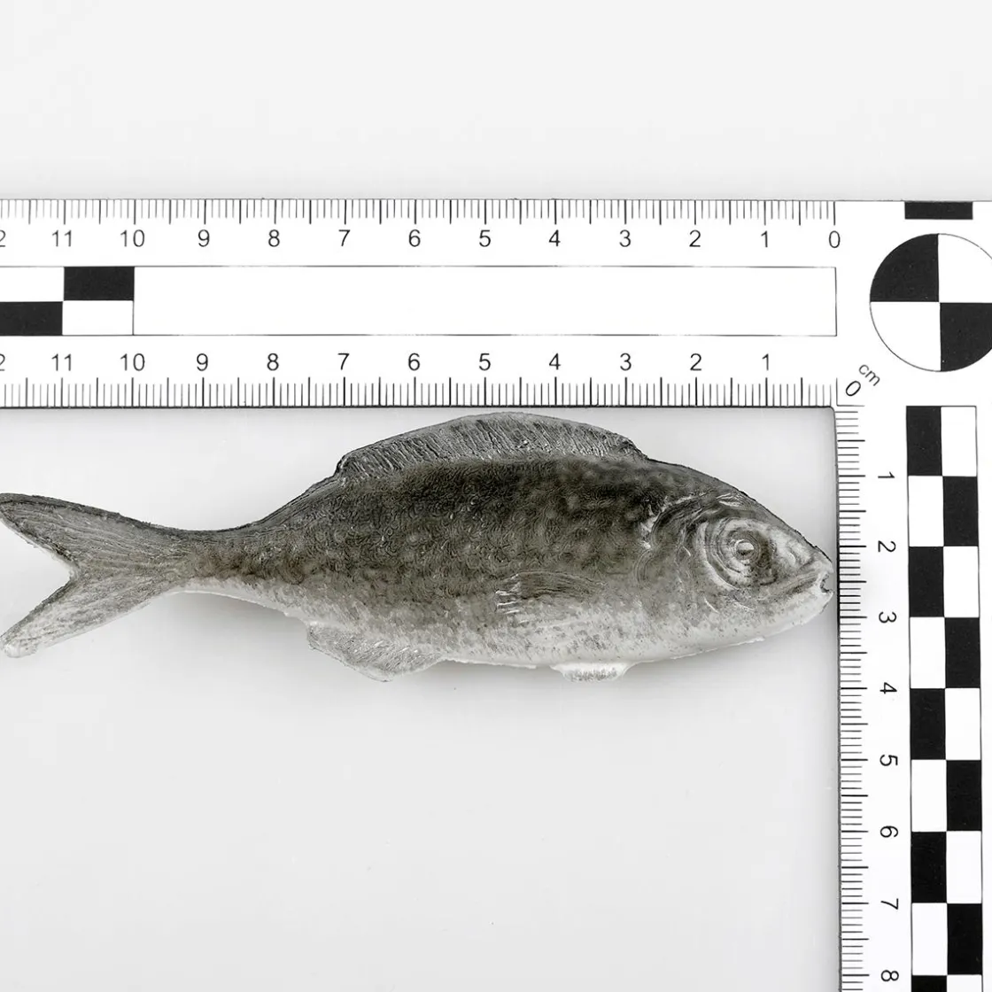 DecoWoerner Pescados Y Mariscos>Maniquí De Sardinas, Paquete De 4 Piezas
