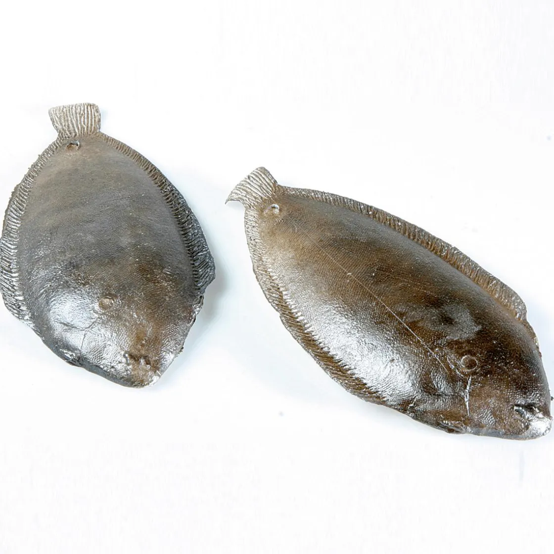 DecoWoerner Pescados Y Mariscos>Maniquí De Solla, 2 Piezas