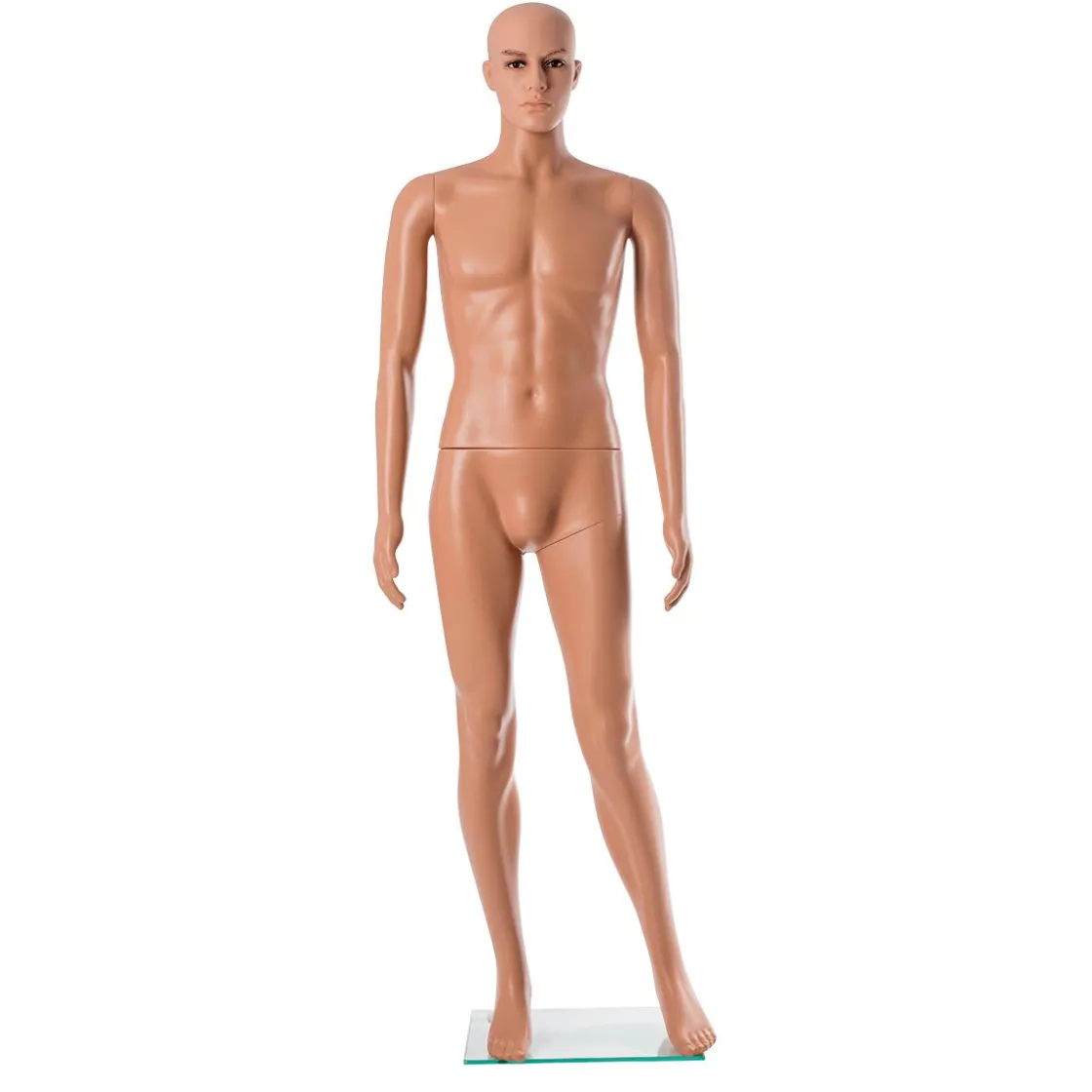 DecoWoerner Maniquíes>Maniquí Masculino PE Ecológico, 187 Cm