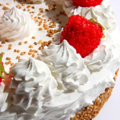 DecoWoerner Pan Y Pastel><noscript><img width=