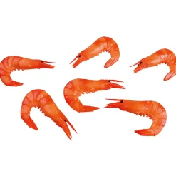 DecoWoerner Pescados Y Mariscos>Maniquíes De Gambas, Pack De 6 Piezas