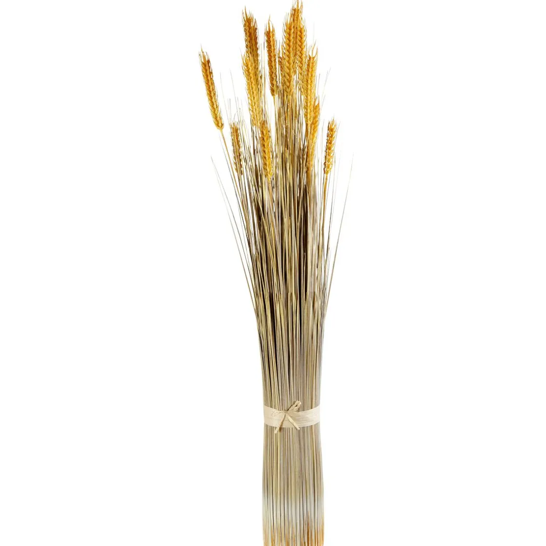 DecoWoerner Decoración De Otoño|Hierba Decorativa>Manojo De Espigas De Trigo Decorativo, 90 Cm