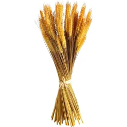 DecoWoerner Decoración De Otoño|Hierba Decorativa>Manojo De Espigas De Trigo Decorativo 60 Cm