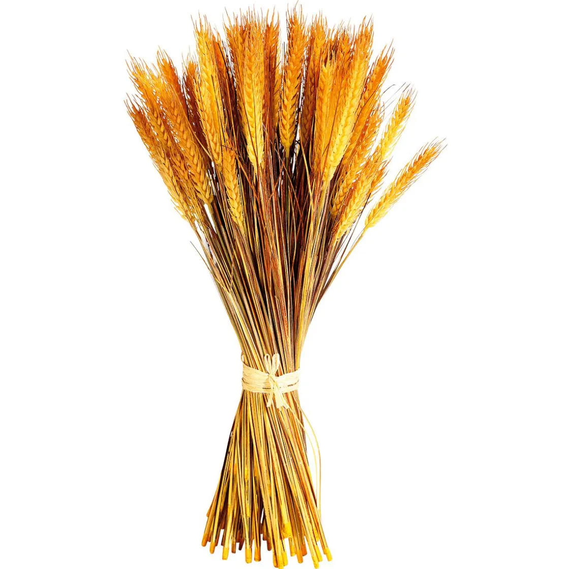 DecoWoerner Decoración De Otoño|Hierba Decorativa>Manojo De Espigas De Trigo Decorativo 60 Cm