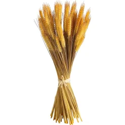 DecoWoerner Decoración De Otoño|Hierba Decorativa><noscript><img width=