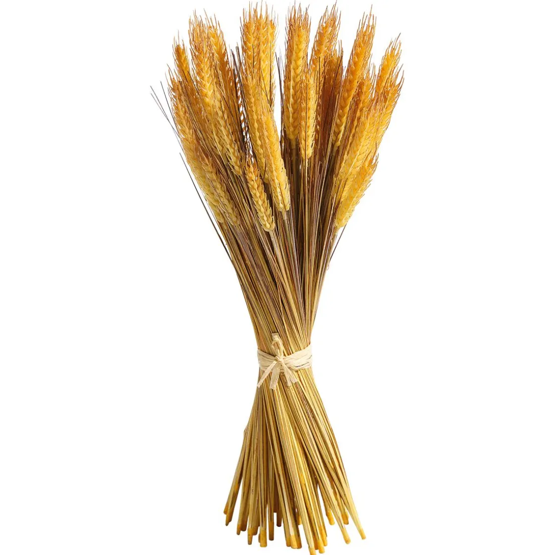 DecoWoerner Decoración De Otoño|Hierba Decorativa>Manojo De Espigas De Trigo Decorativo 60 Cm