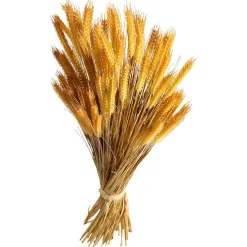 DecoWoerner Decoración De Otoño|Hierba Decorativa><noscript><img width=