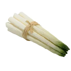 DecoWoerner Verduras Y Hierbas>Manojo De Espárragos Alimento De Imitación 20 Cm