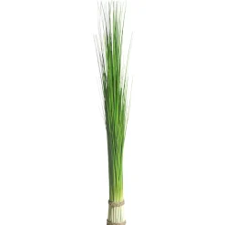 DecoWoerner Decoración De Primavera|Hierba Decorativa>Manojo De Hierba Decorativa Extra Largo, Longitud 90 Cm