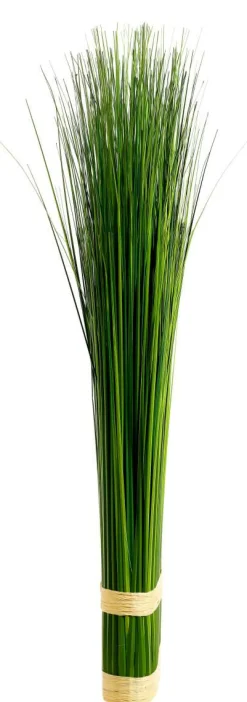 DecoWoerner Hierba Decorativa><noscript><img width=