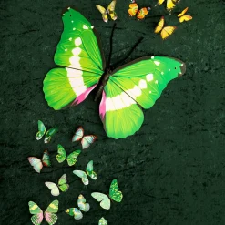 DecoWoerner Decoración De Animales|Decoración De Primavera><noscript><img width=