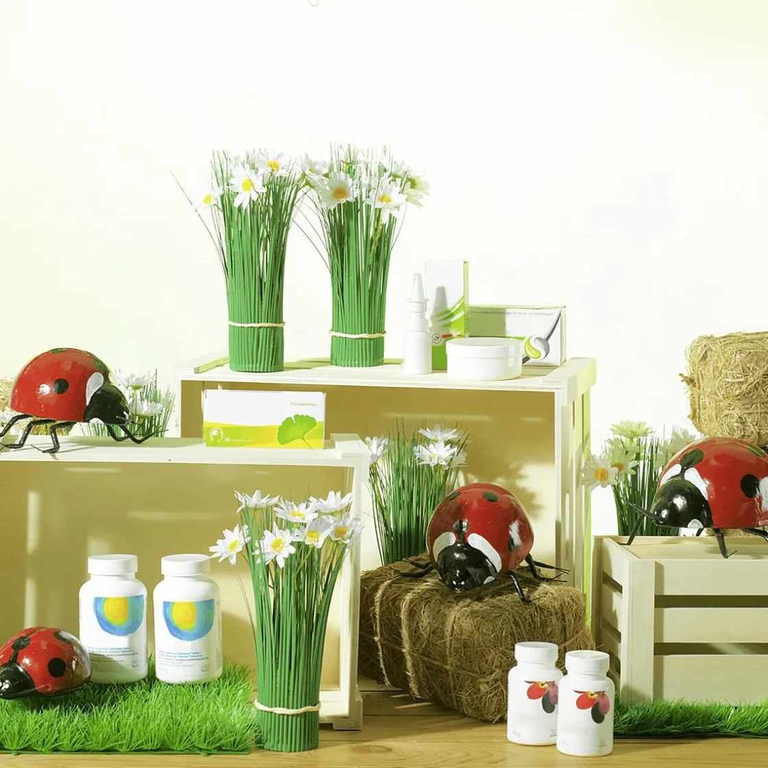 DecoWoerner Decoración De Animales|Decoración De Primavera>Mariquita Decorativa 20-25 Cm, 2 Piezas