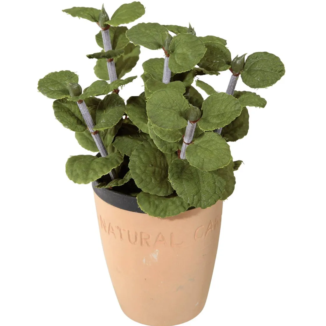 DecoWoerner Plantas De Interior|Verduras Y Hierbas>Menta Decorativa En Tiesto De Barro 20 Cm