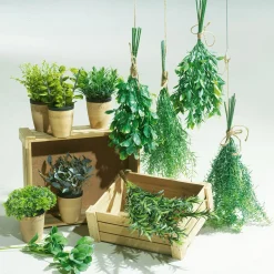 DecoWoerner Plantas De Interior|Verduras Y Hierbas>Menta Decorativa En Tiesto De Barro 20 Cm