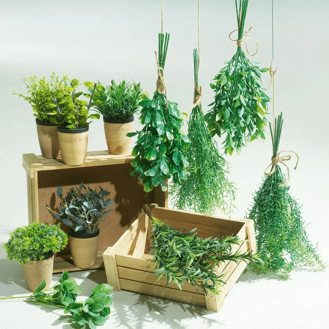 DecoWoerner Plantas De Interior|Verduras Y Hierbas>Menta Decorativa En Tiesto De Barro 20 Cm