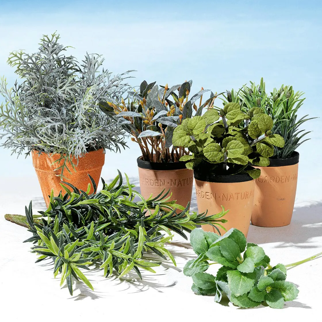 DecoWoerner Plantas De Interior|Verduras Y Hierbas>Menta Decorativa En Tiesto De Barro 20 Cm