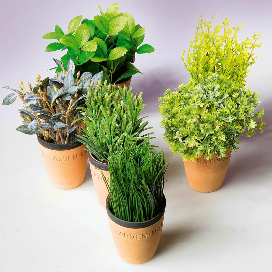 DecoWoerner Plantas De Interior|Verduras Y Hierbas>Menta Decorativa En Tiesto De Barro 20 Cm