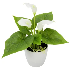 DecoWoerner Plantas De Interior>Mini Cala Artificial Blanca En Maceta 20 Cm