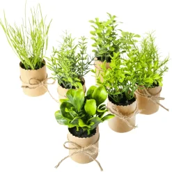 DecoWoerner Plantas De Interior|Verduras Y Hierbas>Mini Hierbas En Maceta 6 Piezas 15 Cm