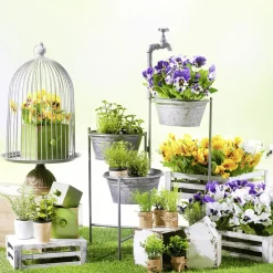 DecoWoerner Plantas De Interior|Verduras Y Hierbas><noscript><img width=