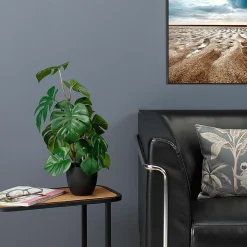DecoWoerner Plantas Verdes|Plantas De Interior><noscript><img width=