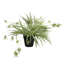 DecoWoerner Plantas De Interior>Nenúfar Artificial En Maceta 40 X 60 Cm (HxA)