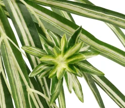 DecoWoerner Plantas De Interior>Nenúfar Artificial En Maceta 40 X 60 Cm (HxA)