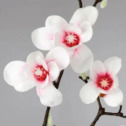 DecoWoerner Decoración De Primavera|Ramas Y Ramitas><noscript><img width=