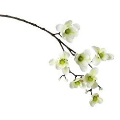 DecoWoerner Decoración De Primavera|Ramas Y Ramitas>Noble Rama De Magnolia Artificial, Verde, 100 Cm