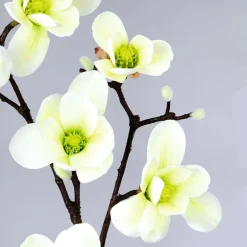 DecoWoerner Decoración De Primavera|Ramas Y Ramitas><noscript><img width=