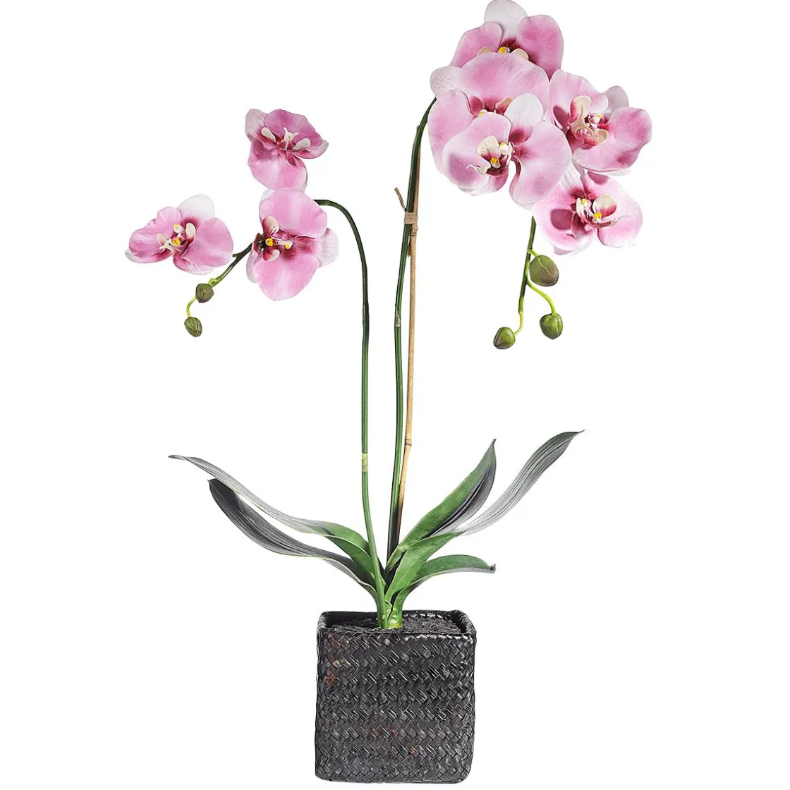 DecoWoerner Plantas De Interior|Flores Artificiales>Orquídea Decorativa En Maceta 80 Cm