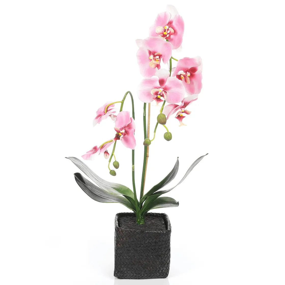 DecoWoerner Plantas De Interior|Flores Artificiales>Orquídea Decorativa En Maceta 80 Cm