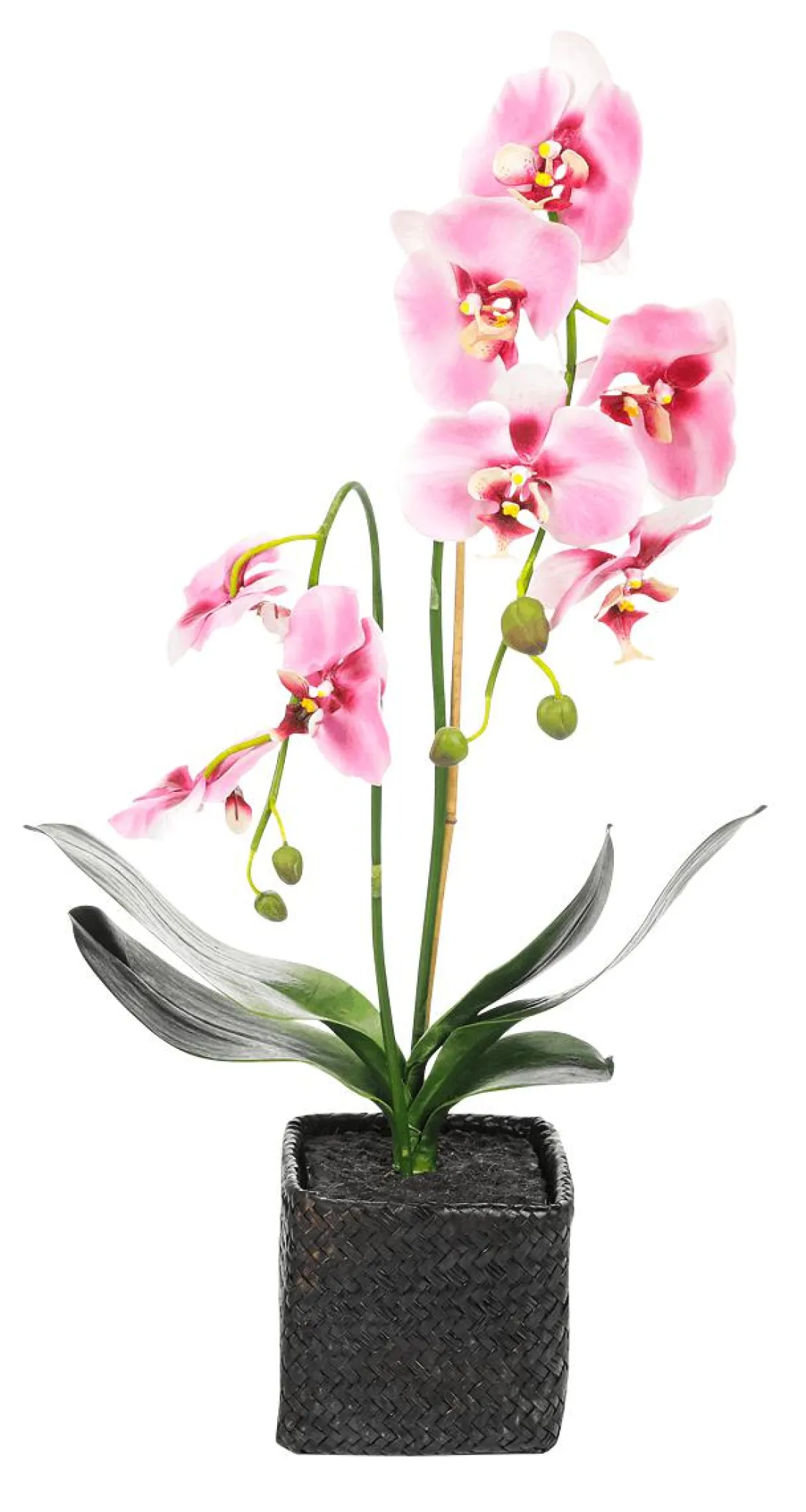 DecoWoerner Plantas De Interior|Flores Artificiales>Orquídea Decorativa En Maceta 80 Cm
