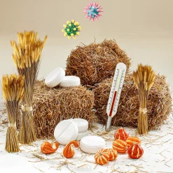 DecoWoerner Decoración Temática|Decoración De Otoño><noscript><img width=