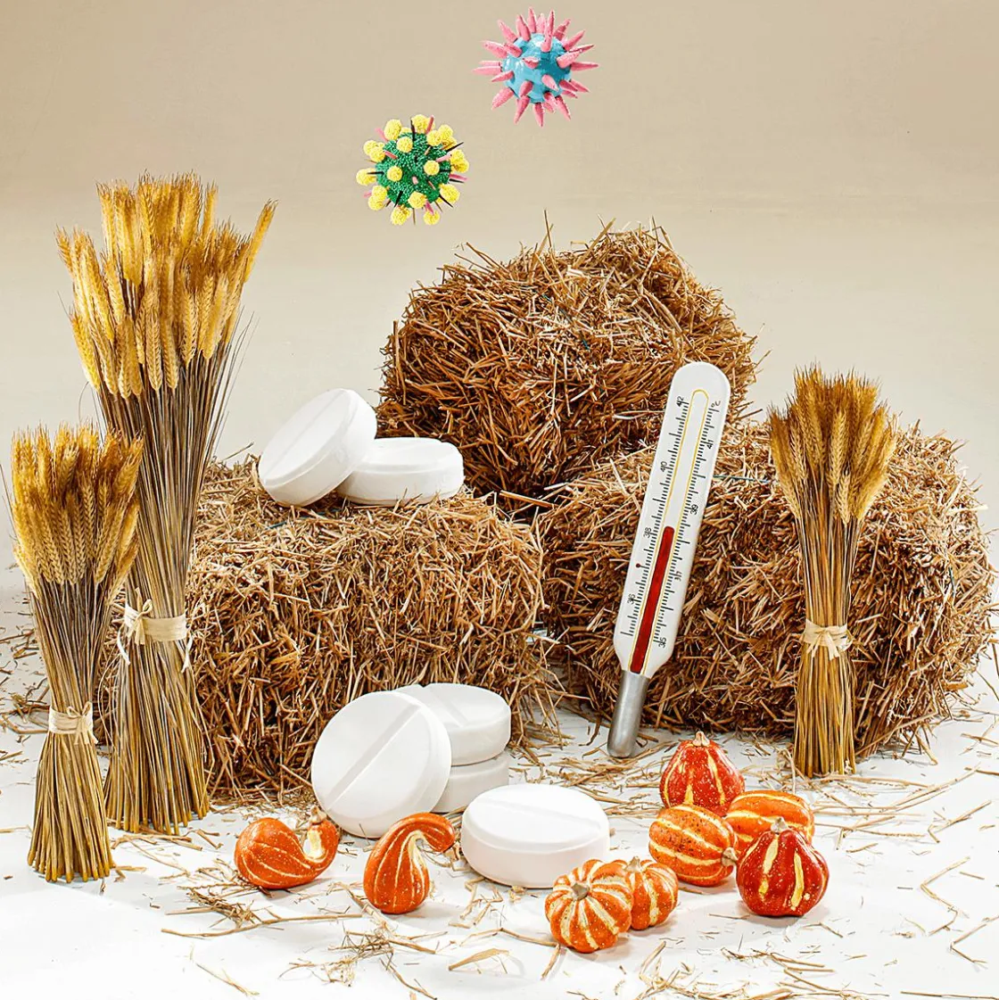 DecoWoerner Decoración Temática|Decoración De Otoño>Pacas De Paja 80 Cm
