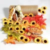 DecoWoerner Decoración De Otoño|Decoración De Verano>Pack Ahorro Deco "Decoración De Mesa Otoñal